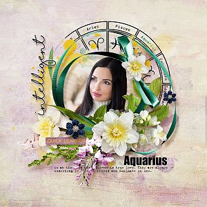 Zodiac: Aquarius