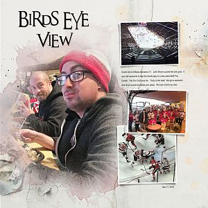 2016Dec17 birds eye view