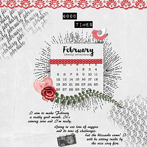 February Plans