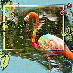 Let's paint with the Flamingos!
