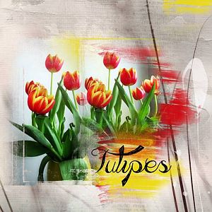 Tulipes