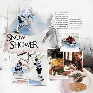 2017Feb12 snow shower