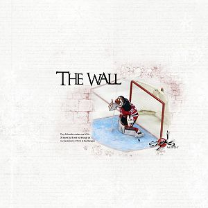 2017Feb25 the wall