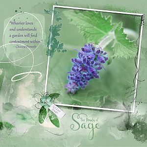 The Beauty of Sage