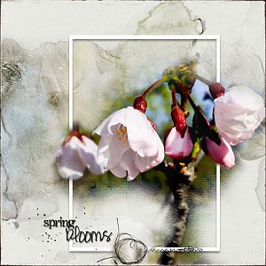 Anna lift - Spring blooms