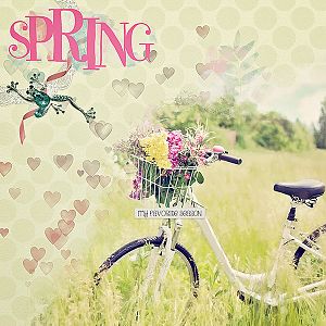 Have you seen spring ?