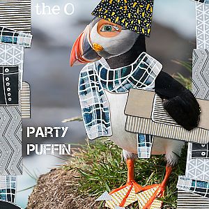 Party puffin