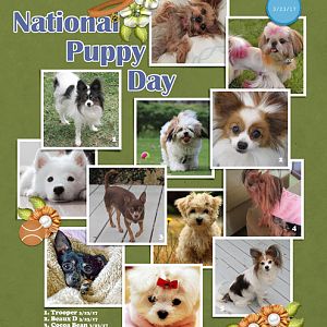 National Puppy Day 2017