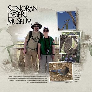 2017Mar10 Sonoran desert museum