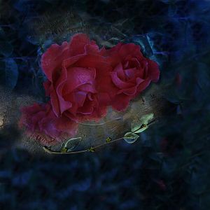Roses by night - AnnaLift 4/01-4/07/2017