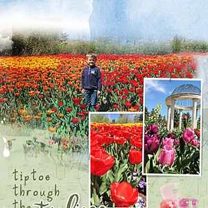 Challenge 1_Lyrics_Tiptoe Through the Tulips With Me