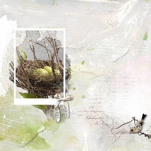 Spring Delights/Anna Lift