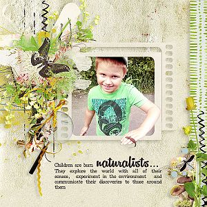 The young naturalists