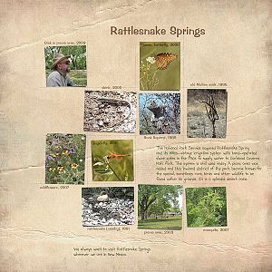 Eddy County: Rattlesnake Springs
