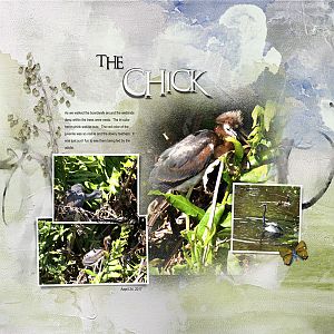 2017Apr25 the chick