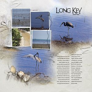 2017Apr25 Long Key SP
