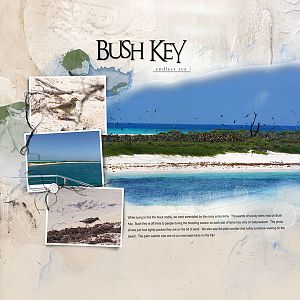 2017Apr26 Bush Key