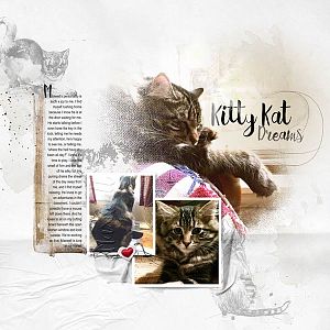 Kitty Kat Dreams