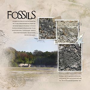 2017Apr27 fossils