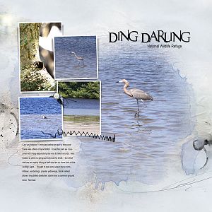 2017Apr30 Ding Darling