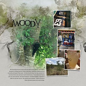 2017Apr30 woody