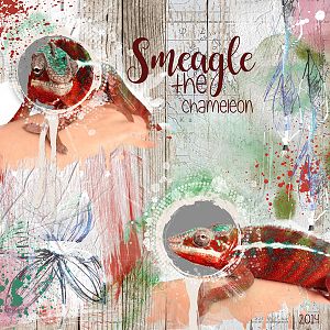 Smeagle the Chamaleon