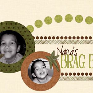 Nana's Brag Book (cover)