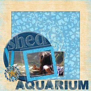 Shed Aquarium