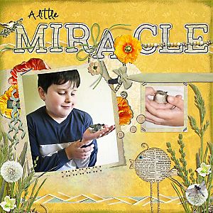 A little miracle