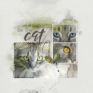 Anna Lift 7-22: BE THE CAT
