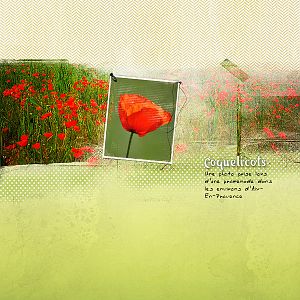 ARTSY MINIMALIST challenge by Timounette - Les coquelicots