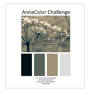 AnnaColor Challenge 07.28.2017-08.10.2017