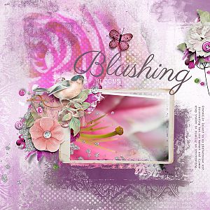 Blushing Blooms