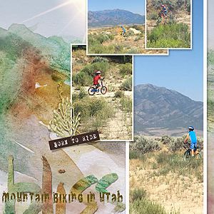 Challenge 2_Product_Mountain Biking in Utah