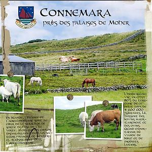 Connemara 4