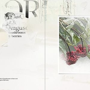 AnnaLift 8/19/17 - Red Berries