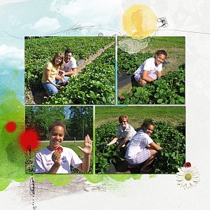 Strawberry picking Anna Color