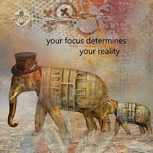 Your Focus