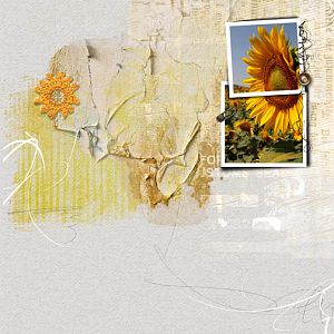 Sun Flowers/nbk design chall