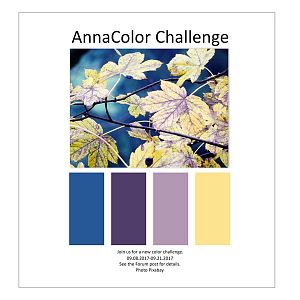 AnnaColor Challenge 09.08.2017-09.21.2017