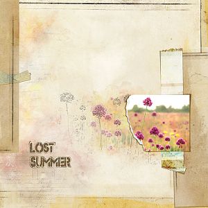 Lost summer