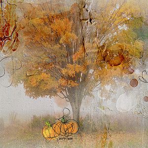 misty autumn days