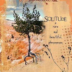 09-07-17_Courtney's Designs_Solitude_Lonesome Tree-Bryce