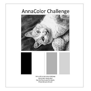 AnnaColor Challenge 09.22.2017-10.05.2017
