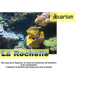 Aquarium La Rochelle