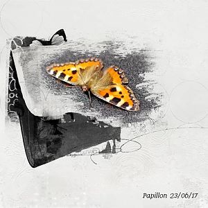 AnnaColor Challenge 09.22.2017-10.05.2017 Papillon