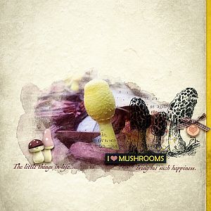 I_heart_Mushrooms