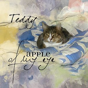 Template challenge- Teddy: Apple of my eye