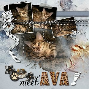 Meet Ava