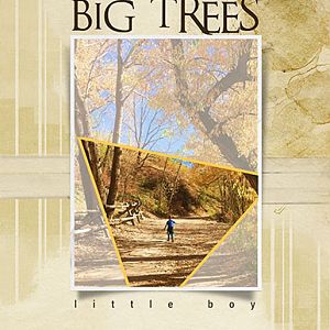 Anna Lift_10-28-17_Big Trees-Little Boy